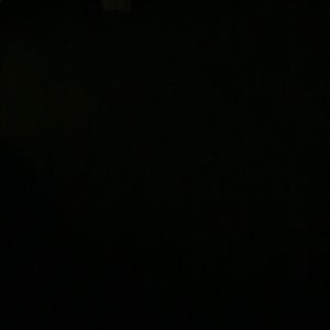 Meet your Posher, Shane